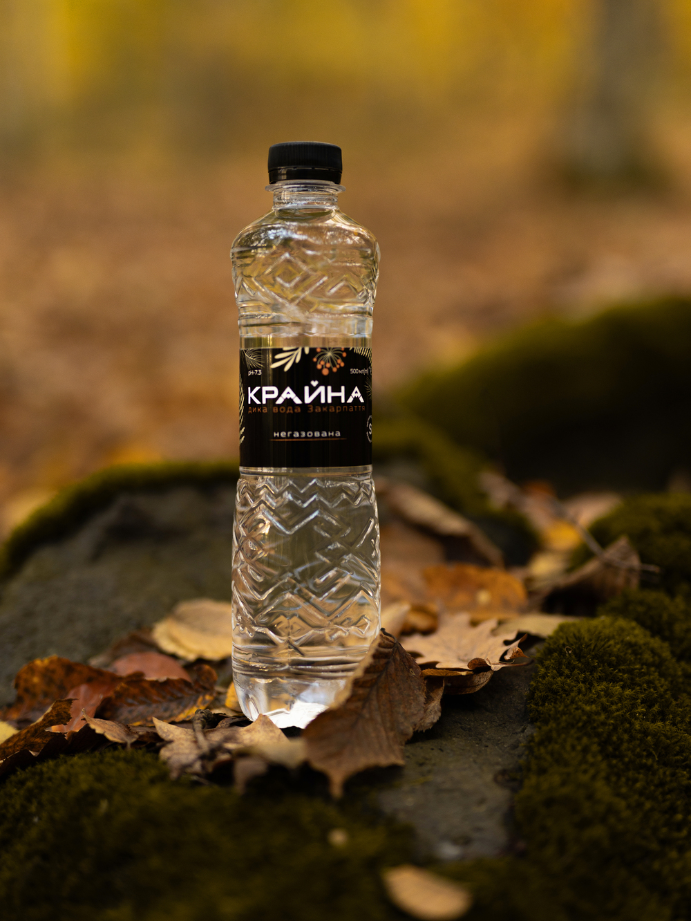 Історія та філосоія Крайна